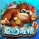 Www.yaxin222.com